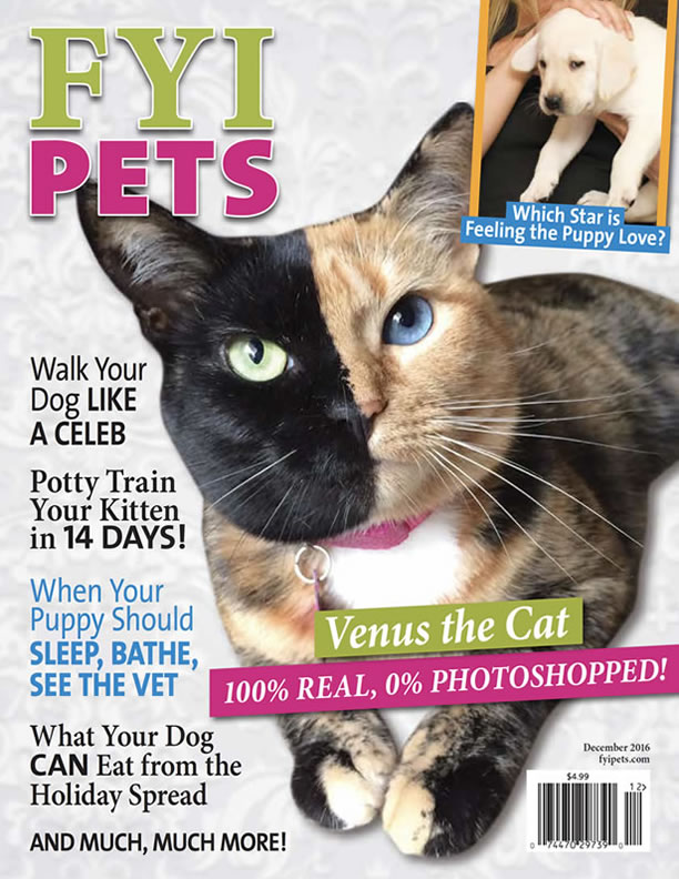 FYI Pets Magazine